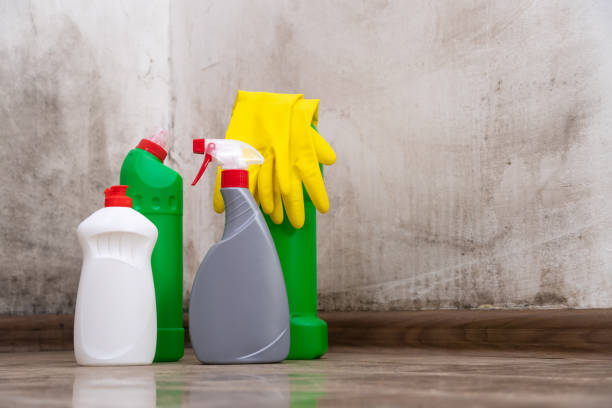  Glencoe, FL Mold Removal Pros